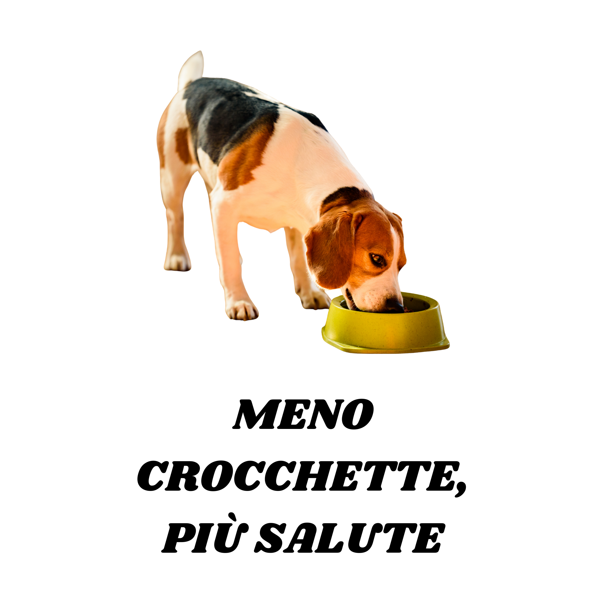 Meno crocchette, più salute